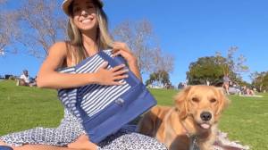 New Overstock Dog Travel Bags & More!